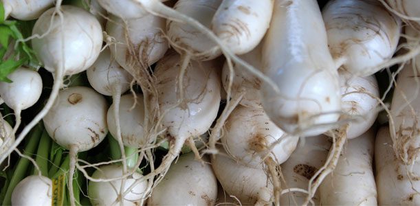 farmers_vegetable_611x300 Produce